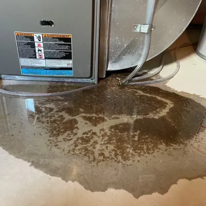 Appliance Leak Cleanup in Estacada, OR